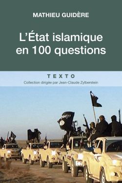 L’Etat islamique en 100 questions